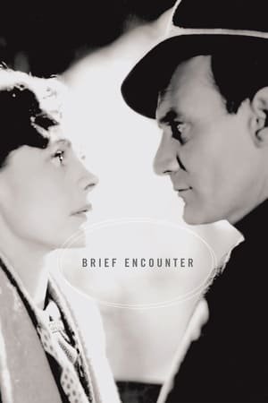 B RIEF EXCOUNTER ქართულად