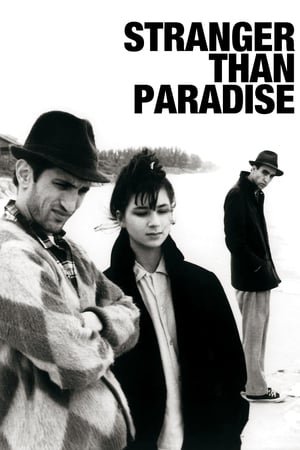 Samotxeze Ucnauri Stranger Than Paradise (1984) — ჯიმ ჯარმუში ქართულად