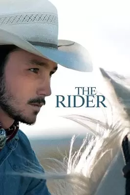 The Rider (2018) ქართულად