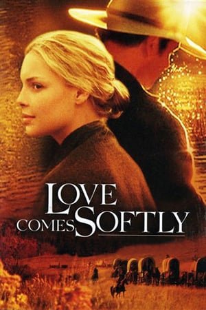 Love Comes Softly (2003) ქართულად