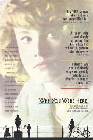 Wish You Were Here (2019) ქართულად