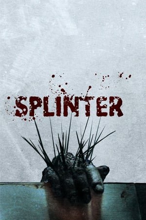 Splinter (2022) ქართულად