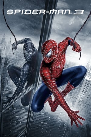 Spider-Man 3 (2007) ქართულად