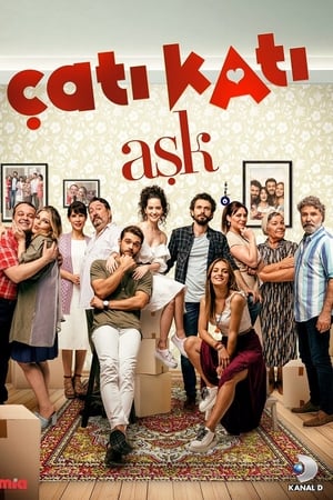 Cati Kati Ask ქართულად