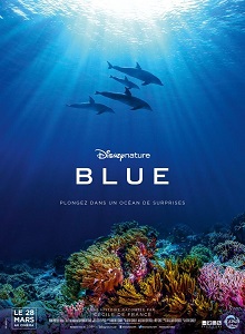 Blueberry Dreams (2024) ქართულად