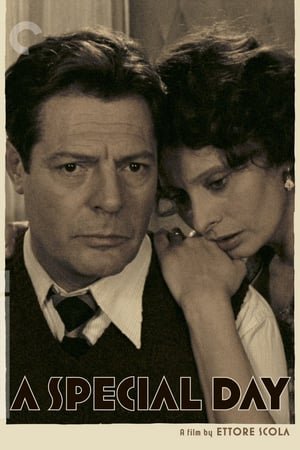 A Special Wedding Day (1997) ქართულად