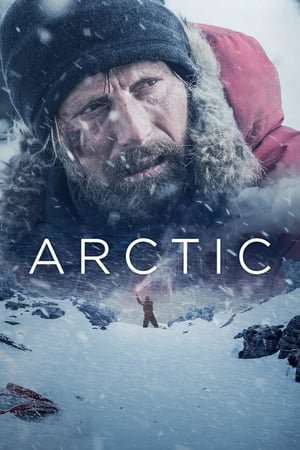 Arctic Arqtika (2018) ქართულად