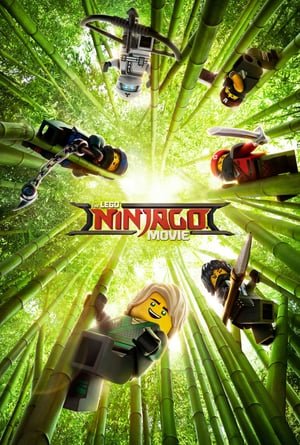 The LEGO Ninjago Movie (2017) ქართულად
