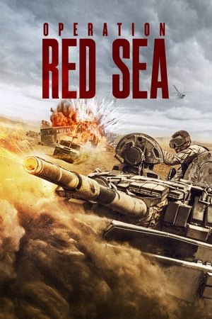 Operation Red Sea (2018) ქართულად