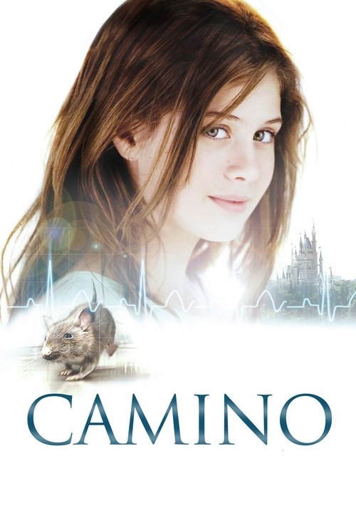 Camino (2008) ქართულად
