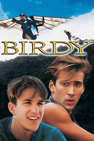 Birdy (1984) ქართულად