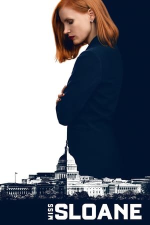 Miss Sloane ქართულად