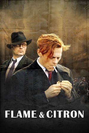 Flame & Citron (2008) ქართულად