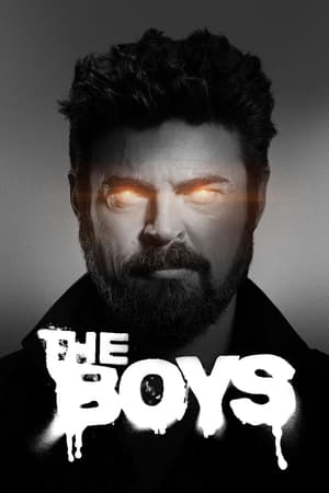 The Boys Bichebi (2019) ქართულად
