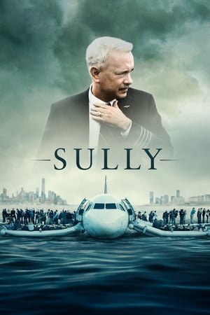 Sully (2016) ქართულად