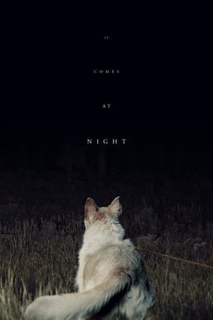 It Comes at Night (2017) ქართულად