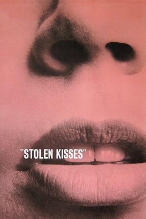 Stolen Kisses (2001) ქართულად
