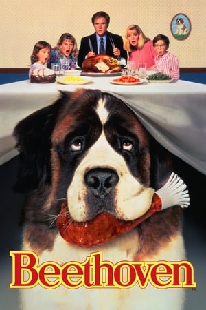 Beethoven (1992) ქართულად