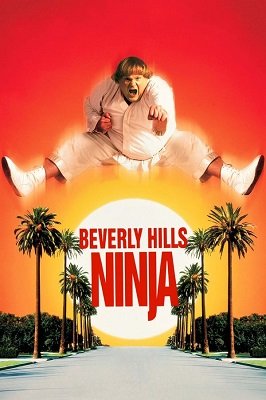 Beverly Hills Ninja (1997) ქართულად