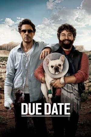 Due Date 2010 (2010) ქართულად