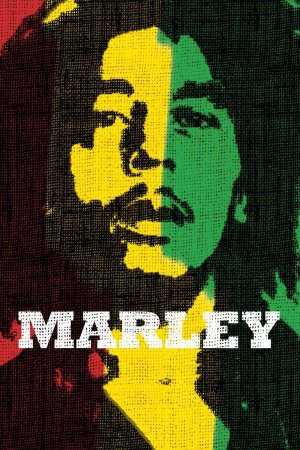 Marli Marley (2012) ქართულად