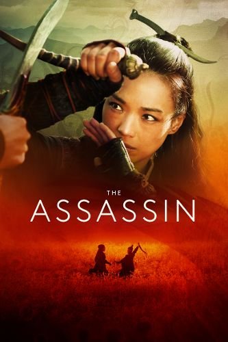 Assassin (2023) ქართულად