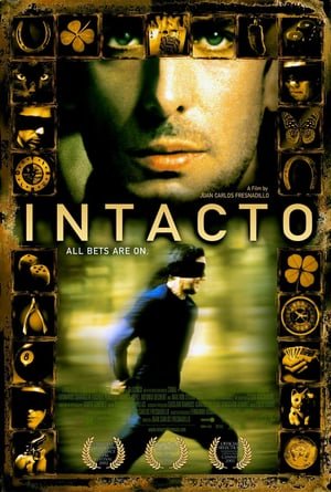 Intact (2001) ქართულად