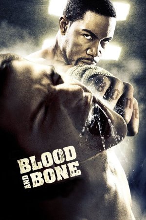 Sisxli Da Dzvali Blood And Bone (2009) ქართულად