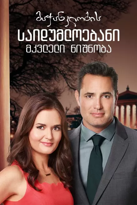 Matchmaker Mysteries: A Killer Engagement (2019) ქართულად