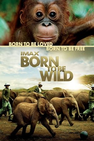 Born To Be Wild (2011) ქართულად