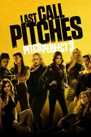 Pitch Perfect 3 (2017) ქართულად