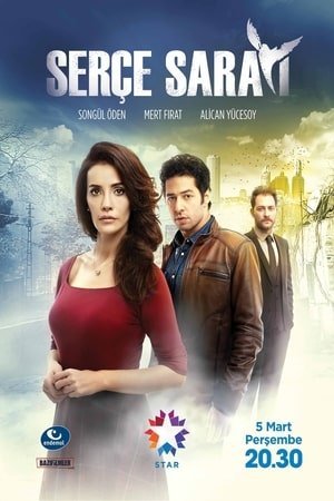 Serce Sarayi ქართულად