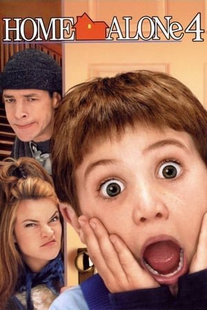 Home Alone 4 (2002) ქართულად