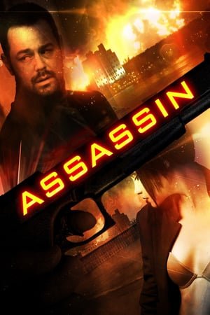 Lady Ninja Kasumi 6: Yukimura Assasination (2008) ქართულად