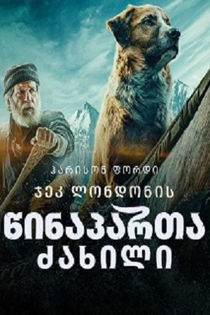 The Call of the Wild (2020) ქართულად