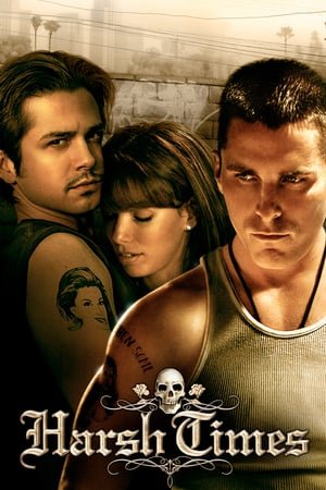 Harsh Times ქართულად