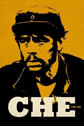 Che: Part One (2008) ქართულად