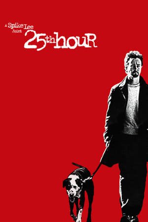 25th Hour (2002) ქართულად