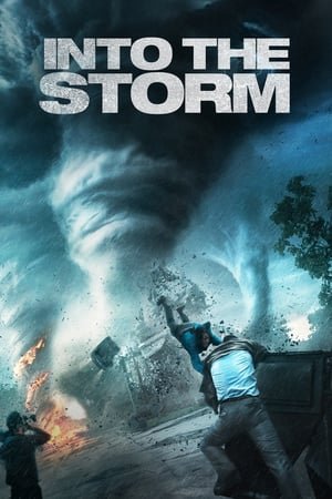 Into the Storm (2014) ქართულად