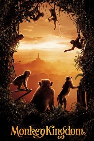 Monkey Kingdom (2015) ქართულად