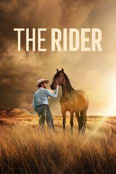The Rider (2018) ქართულად