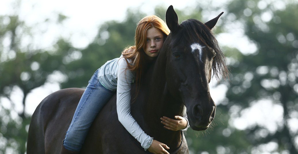 Ostwind (2013) ქართულად