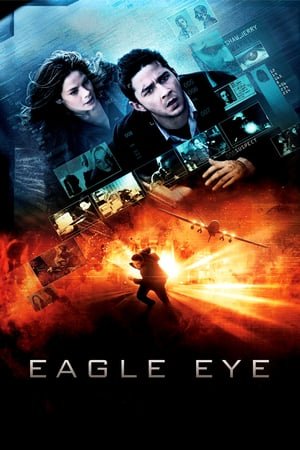 Eagle Eye (2008) ქართულად