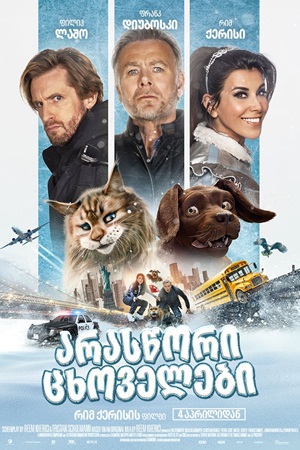 Cat and Dog (2024) ქართულად