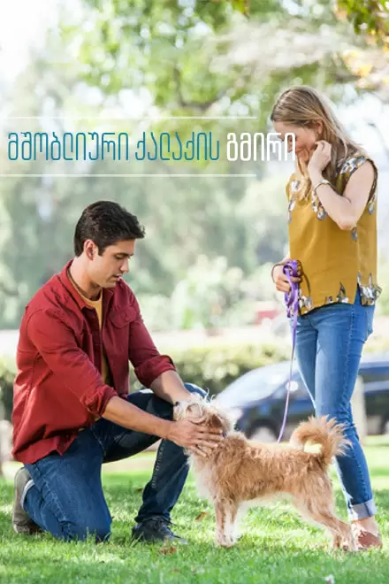 Hometown Hero (2017) ქართულად