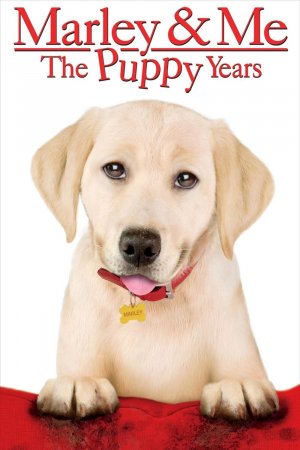 Marley And Me Bbbbb Bb Bb (2008) ქართულად