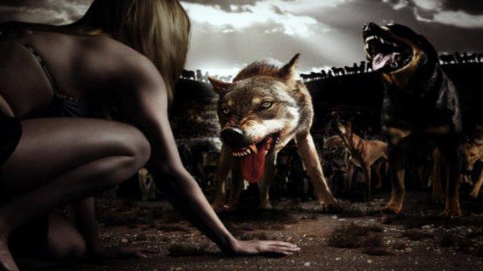 Xrova The Breed (2006) ქართულად