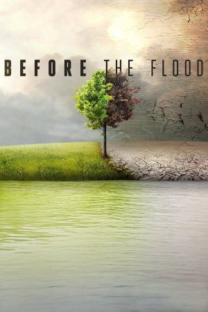 Wyaldidobamde Before The Flood (2016) ქართულად