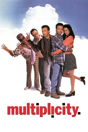 Multiplicity ქართულად