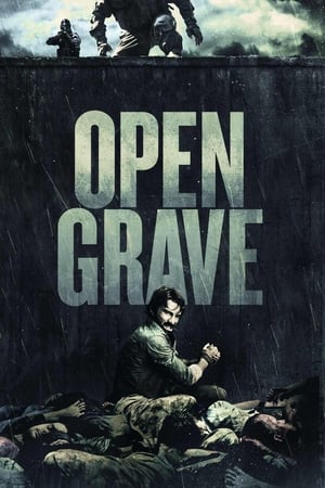 Open Grave (2013) ქართულად